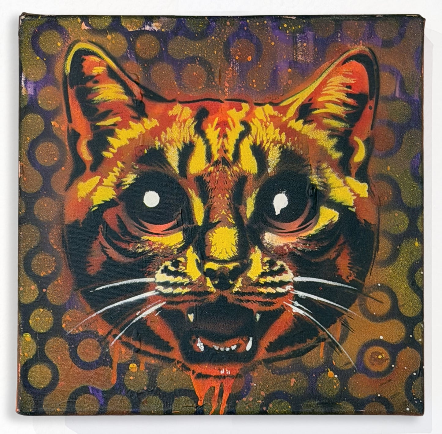 Cat Eyez